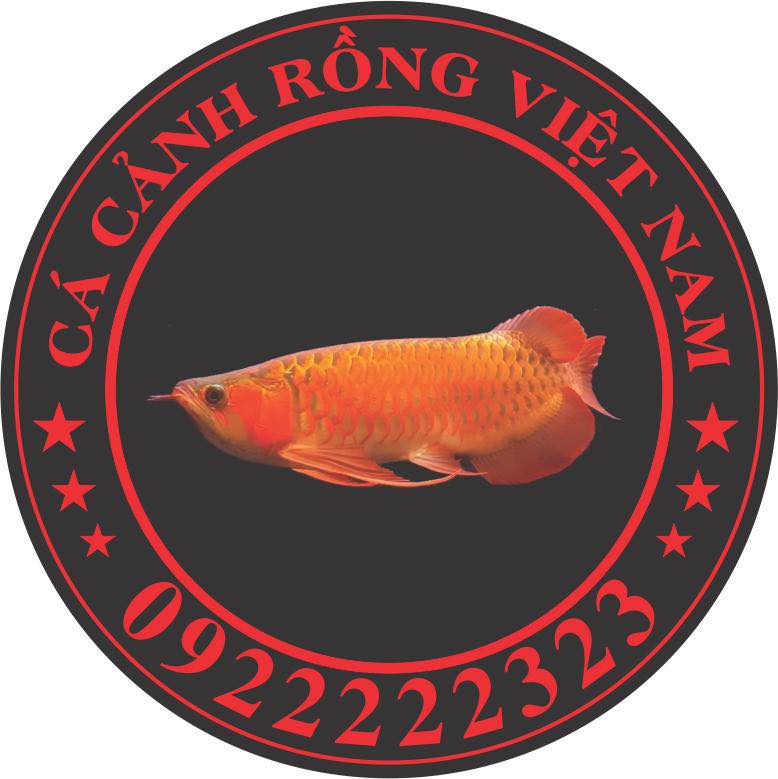 Cá Cảnh Rồng Việt Nam